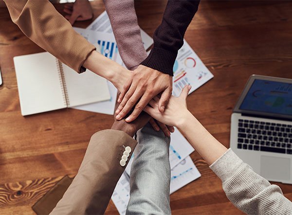 我们的优势 我们的优势